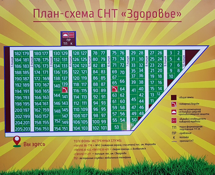 снт Здоровье
